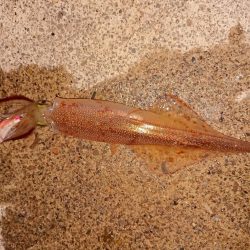 かなりのウネリの中で